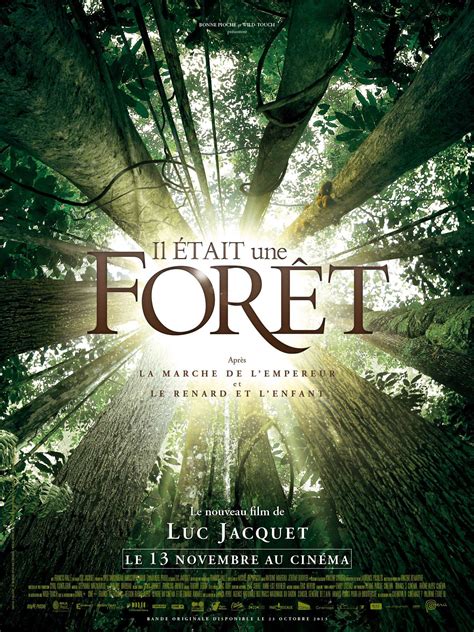 affiche du film Il était un forêt